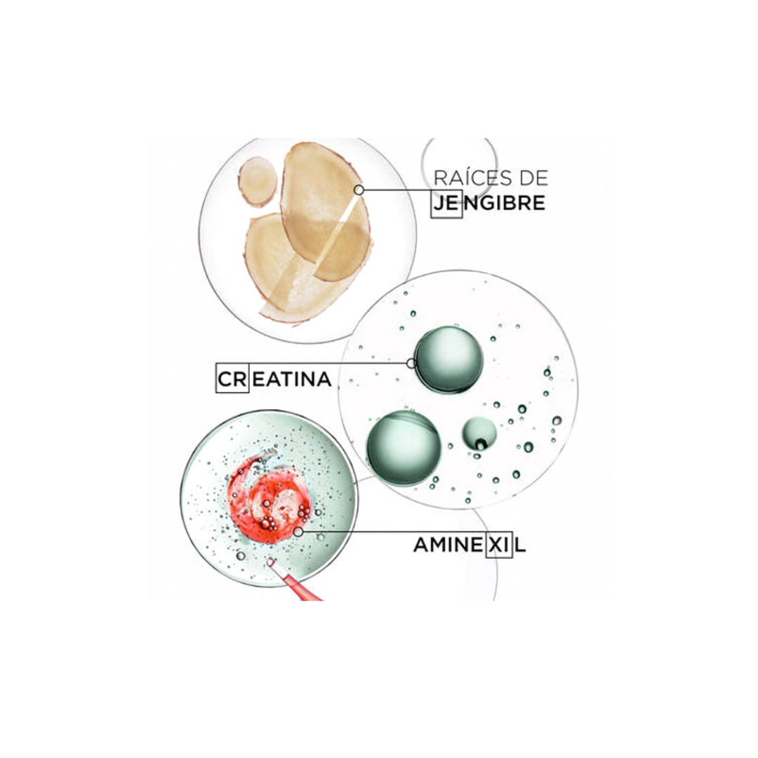genesis_homme_hombre_jengibre_creatina_aminexil